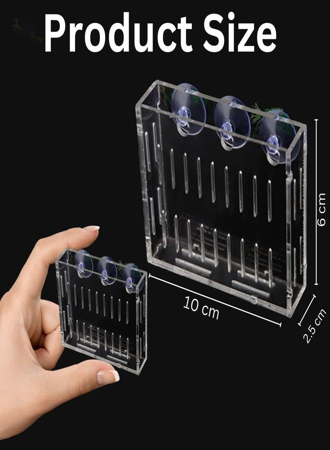 VAYINATO® 2 Pcs (Large-10CM) Acrylic Transparent Water Plant Holder with Strong Suction Cup for Aquarium Fish Tank, Aquaponic Plant Growing Landscape Decoration Water Plants by Petzlifeworld - Image 4